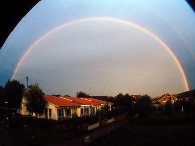 RegenbogenFZ099324HP