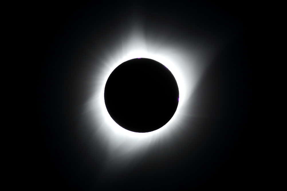 D700_31443cf
