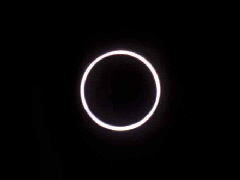 Ringf�rmige Sofi