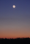 Komet Panstarrs / Comet Panstarrs