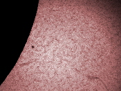 Sun Hans Pietsch