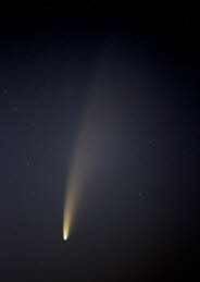 B42173-205b