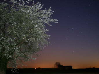 Sternbild Orion