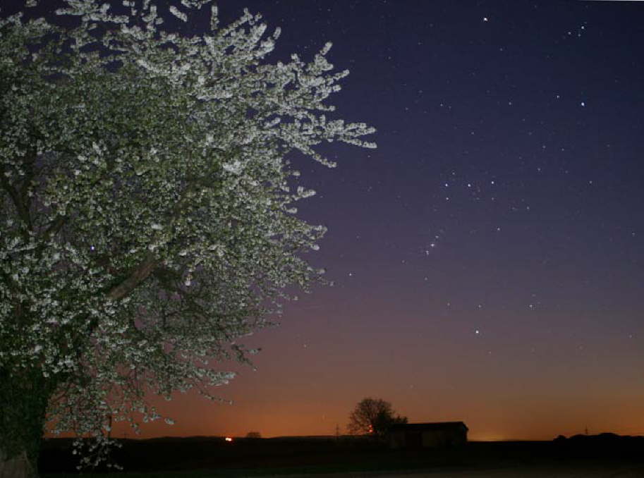 Sternbild Orion